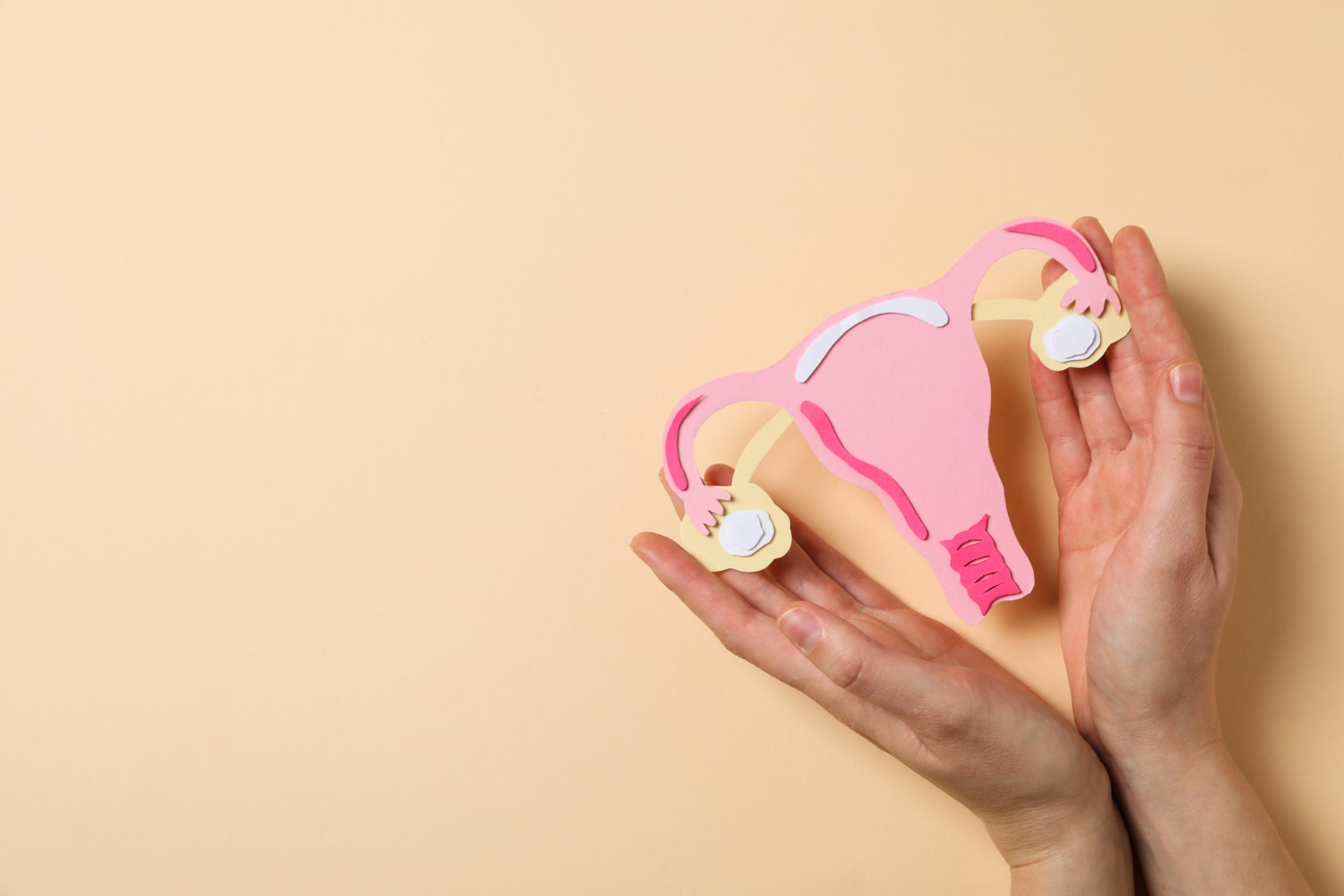 Salud Integral — Cáncer cérvico uterino
