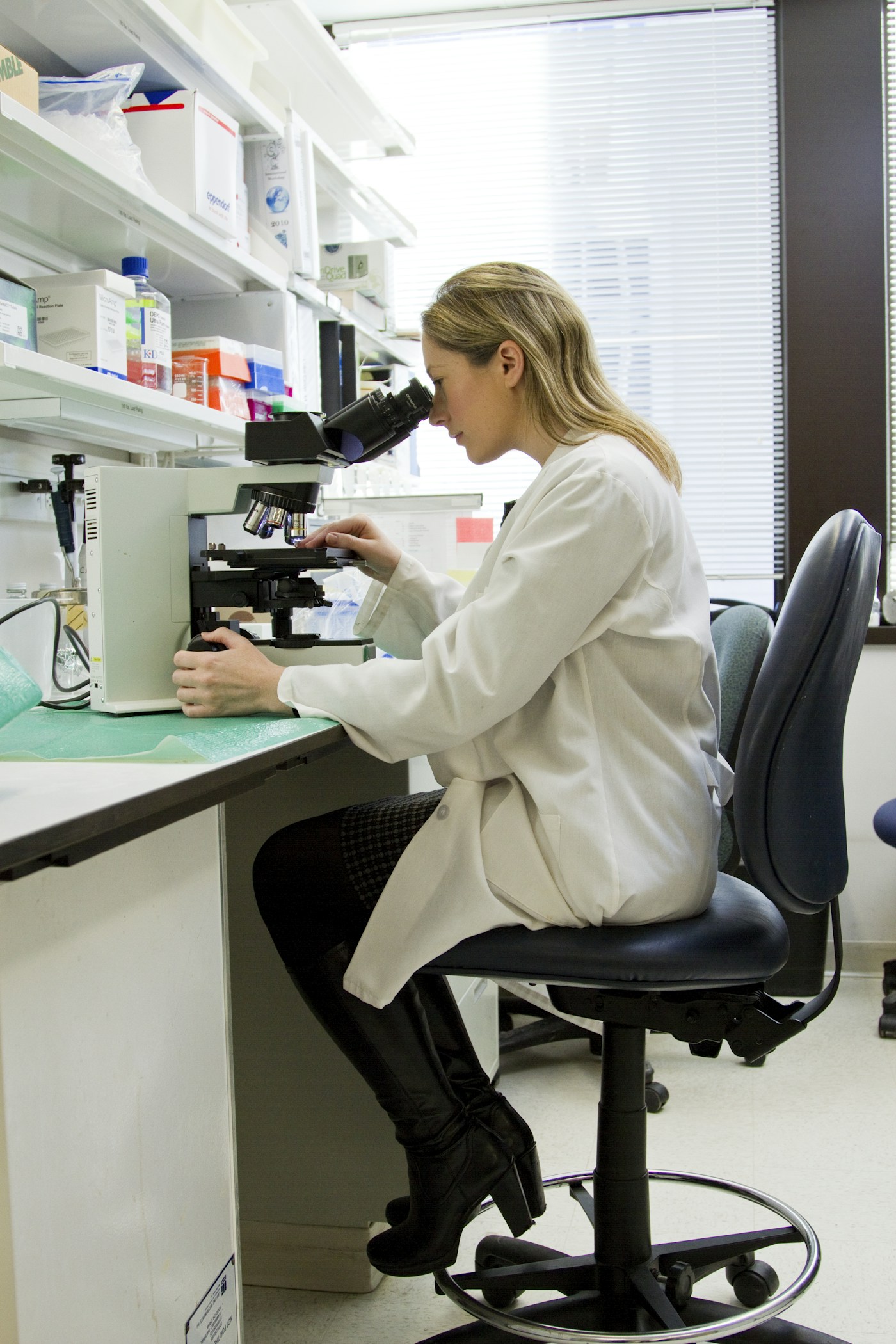 Microscopio y laboratorio clínico: detalle y observación como en estudios especializados (p. ej. colposcopía)